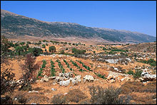 Bekaa Valley